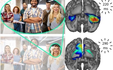 Anders als gedacht: Gehirn verarbeitet Seheindrücke auch rückwärts