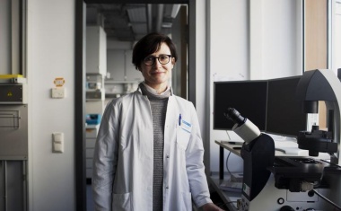 Mini-Herzen in der Kulturschale: Organoid aus Stammzellen entwickelt