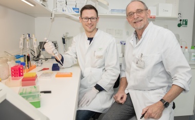 Genschere findet Angriffspunkt für Hodenkrebs-Therapie