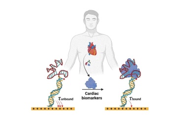 Alternative zum Antikörpernachweis