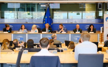 Die Zukunft der europäischen Schmerzforschung