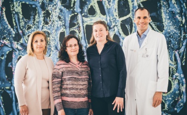 Eine süße Lösung für ein hartes Problem