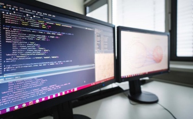 Darmbakterien beeinflussen das Wachstum von Pilzen