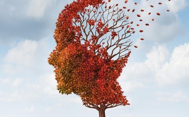 Neuartige Genvariante zeigt Schutzwirkung vor Alzheimer