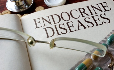 Testosteron und endokrine Disruptoren: Herausragende Beiträge zum Thema Hormone ausgezeichnet