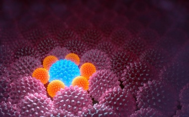 Methylierungsanalyse verbessert Lungenkrebs-Risikovorhersage