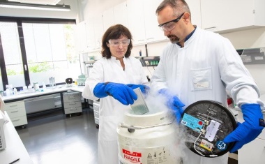 Fremde Immunzellen helfen Schwerstkranken gegen Hirnentzündung