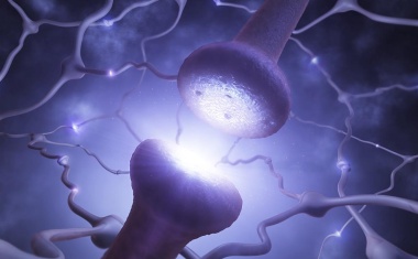 Neuer Therapieerfolg bei Alzheimer – dennoch bleibt die Prävention wichtig