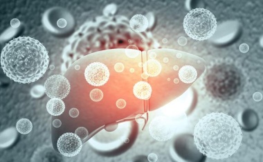 Antikörper zur Behandlung chronischer Hepatitis B und D