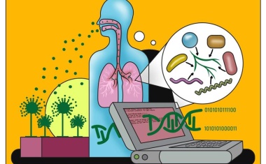 Ein Pilz macht es sich bequem