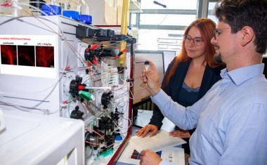 Multiple Sklerose: Neuer Ansatz für Reparatur geschädigter Nervenhüllen