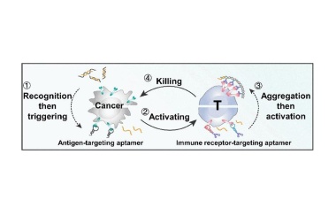 Tödliche Kommunikation