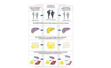 Neue Studie spricht für Remission als Therapieziel beim Prädiabetes