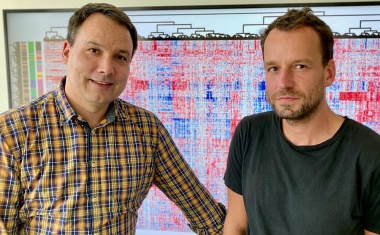 Bioinformatik-Programm verbessert die molekulare Diagnostik der akuten lymphoblastischen Leukämie