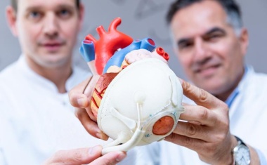 MHH-Chirurgie testet „natürlichste Form der mechanischen Herzunterstützung“