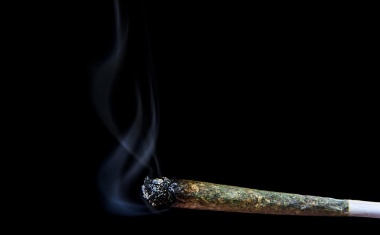 Und Haschisch schadet doch!