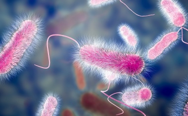 „Die im Dunkeln sieht man nicht“