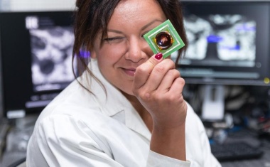 Entwicklung eines Netzhaut-ähnlichen Biochips