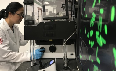 Gute Bakterien für böse Wunden