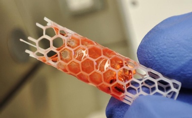 Menschliche Gefäße aus dem 3D-Drucker