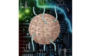 Neue Ära der Cyborganik – Prof. Ivan Minev erhält einen ERC Consolidator Grant