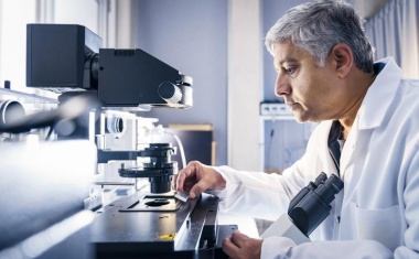 Mechanische Reprogrammierung für das Gewebe