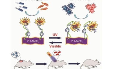 Umschaltbares Bakterizid