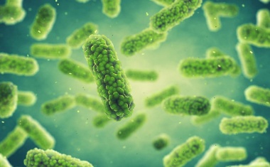 Resistenten Keimen den Kampf ansagen