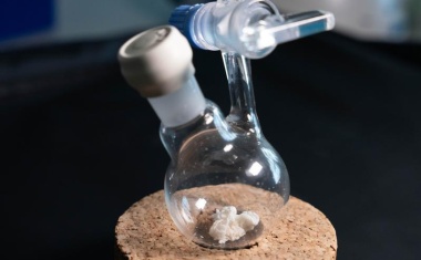 Forschende entdecken neuartigen antibiotischen Wirkstoff in menschlicher Nase