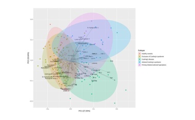 Wie Stresshormone Fettleibigkeit beeinflussen können