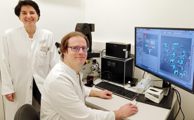 Neues Verständnis der Schmerzwahrnehmung - Zusammenspiel von Hautzellen und Nervenfasern