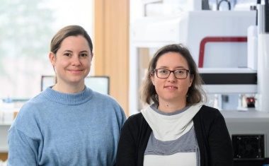 Cholera-Erreger machtlos gegen eigenes Immunsystem