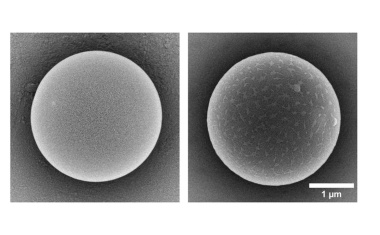 Mikroplastik ist nicht gleich Mikroplastik