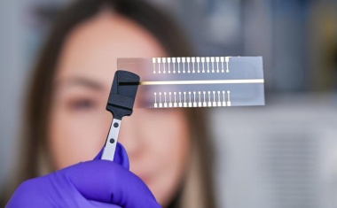 Krankheiten frühzeitig erkennen