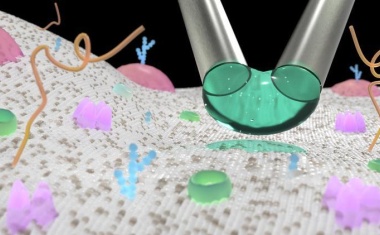 Präzise Applikation von Nanopartikeln und kleinen Molekülen auf einzelne Zellen