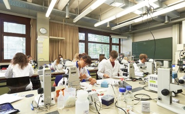 Revolutionäre Zelltherapie: Neustart des Immunsystems stellt Autoimmunerkrankungen ab