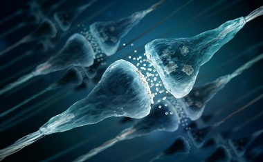 Dank Neurogenetik und Neuroimmunologie: Ein Drittel der seltenen Erkrankungen kann mittlerweile diagnostiziert werden