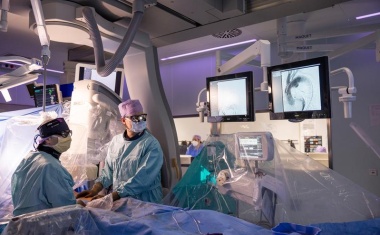 Aorta erstmals als eigenständiges Organ anerkannt