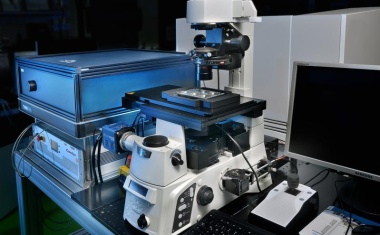 Automatisierte Hochdurchsatz-Sortierung lebender Zellen