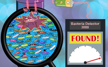 Elektronischer Sensor erkennt gefährliche Bakterien