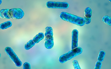 Darmmikrobiota und Antibiotika: Fehlendes Puzzlestück entdeckt