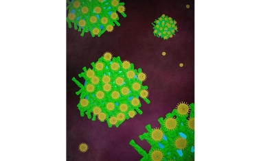 Neue Methode zur Isolierung von HIV-Partikeln entwickelt