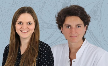 Von Hautzellen über Stammzellen zu Nervenzellen