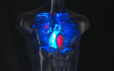 KI in die medizinische Anwendung bringen