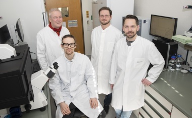 Mögliche Alternative zu Antibiotika aus Bakterien