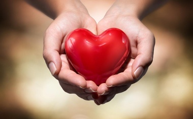 DGPK-Jahrestagung 2024 – Preisverleihungen an Ärzte und Wissenschaftler