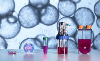 Bioreaktor- und Kryotechnologien für bessere Wirkstofftests mit humanen Zellkulturen