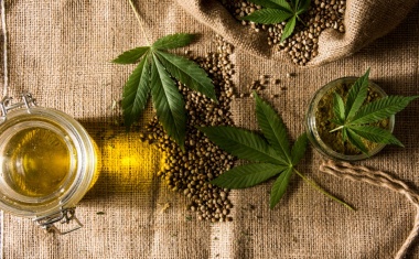 Nachgefragt zur Cannabis-Legalisierung