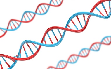 Verborgenes Ataxie-Gen identifiziert