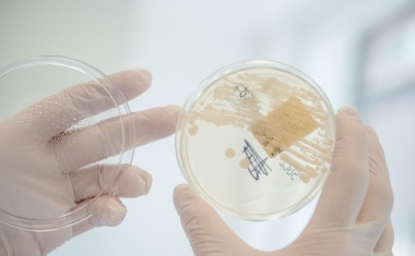 Eine zweite Chance für einen neuen antibiotischen Wirkstoff